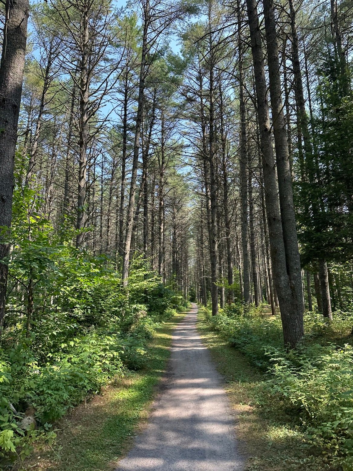 Tour de Petite Nation - Day 3