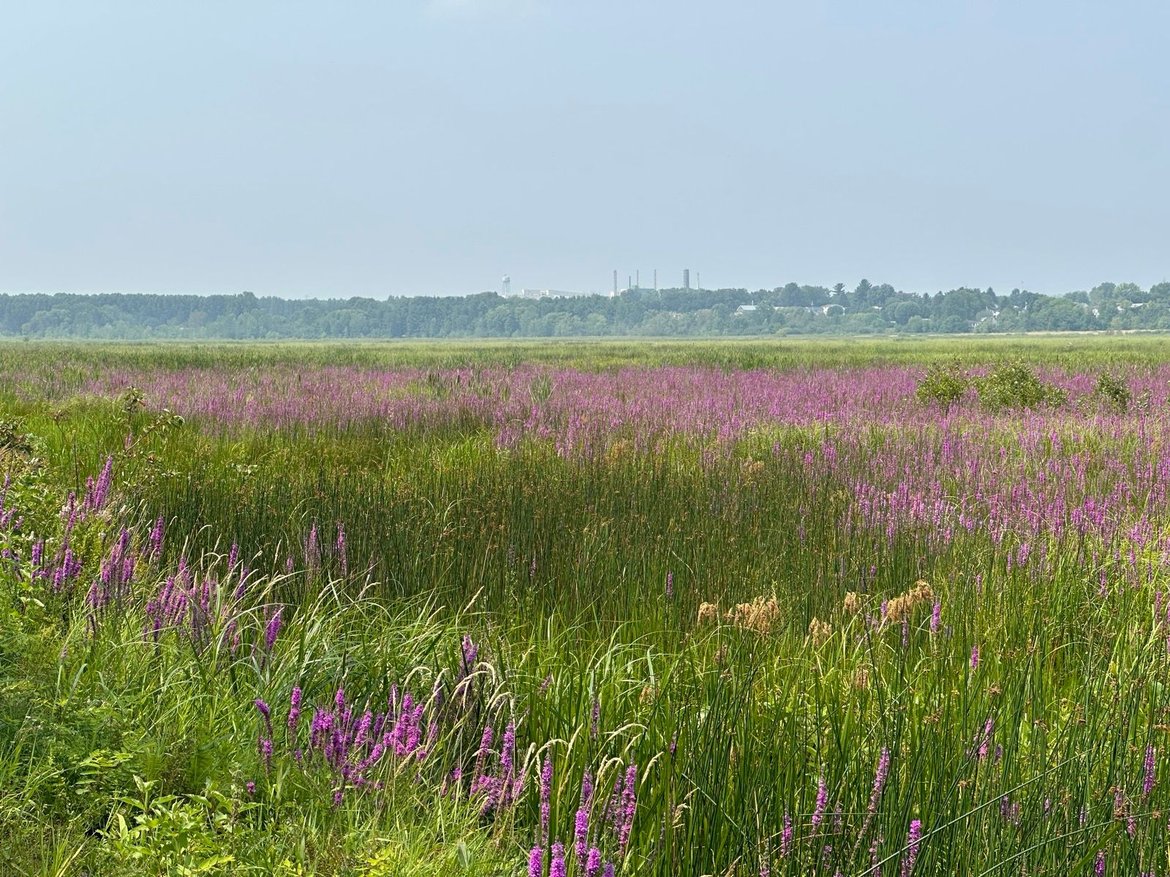 Tour de Petite Nation - Day 4