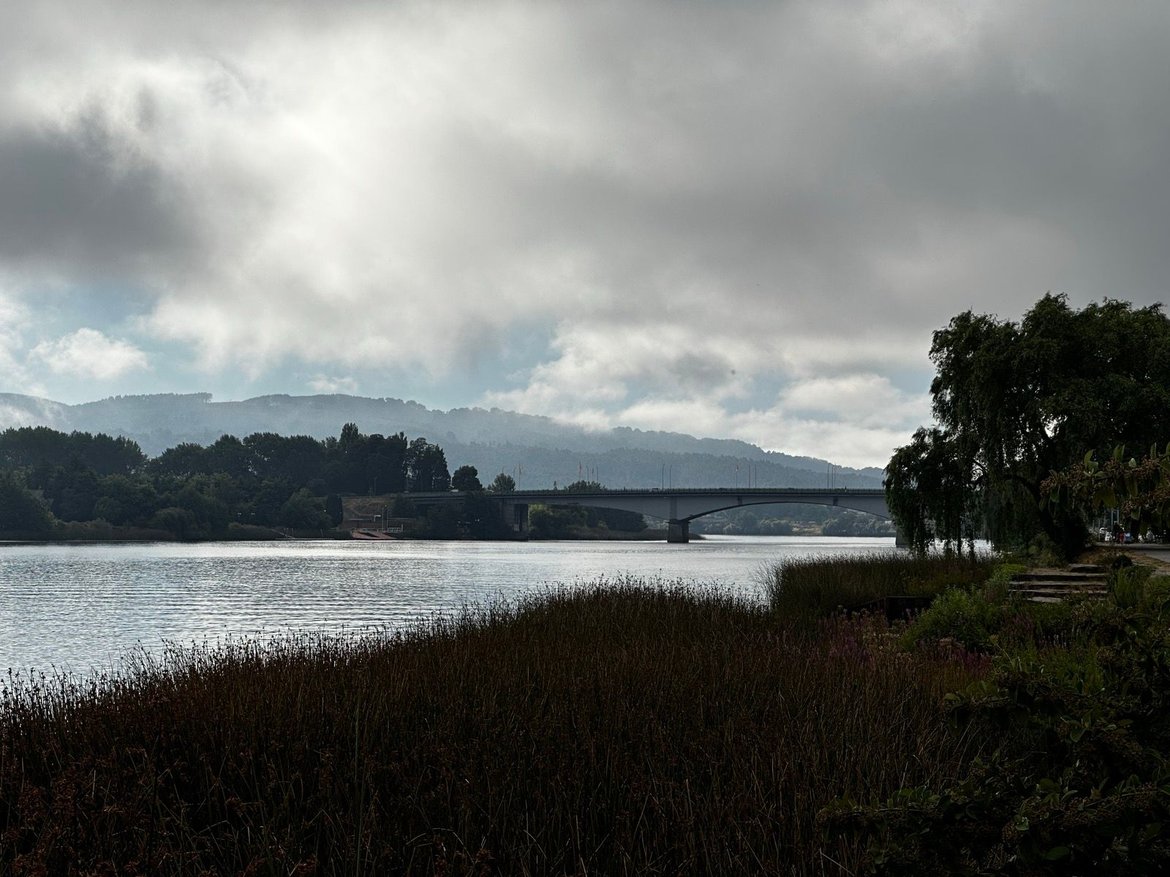 Valdivia 👉 Niebla