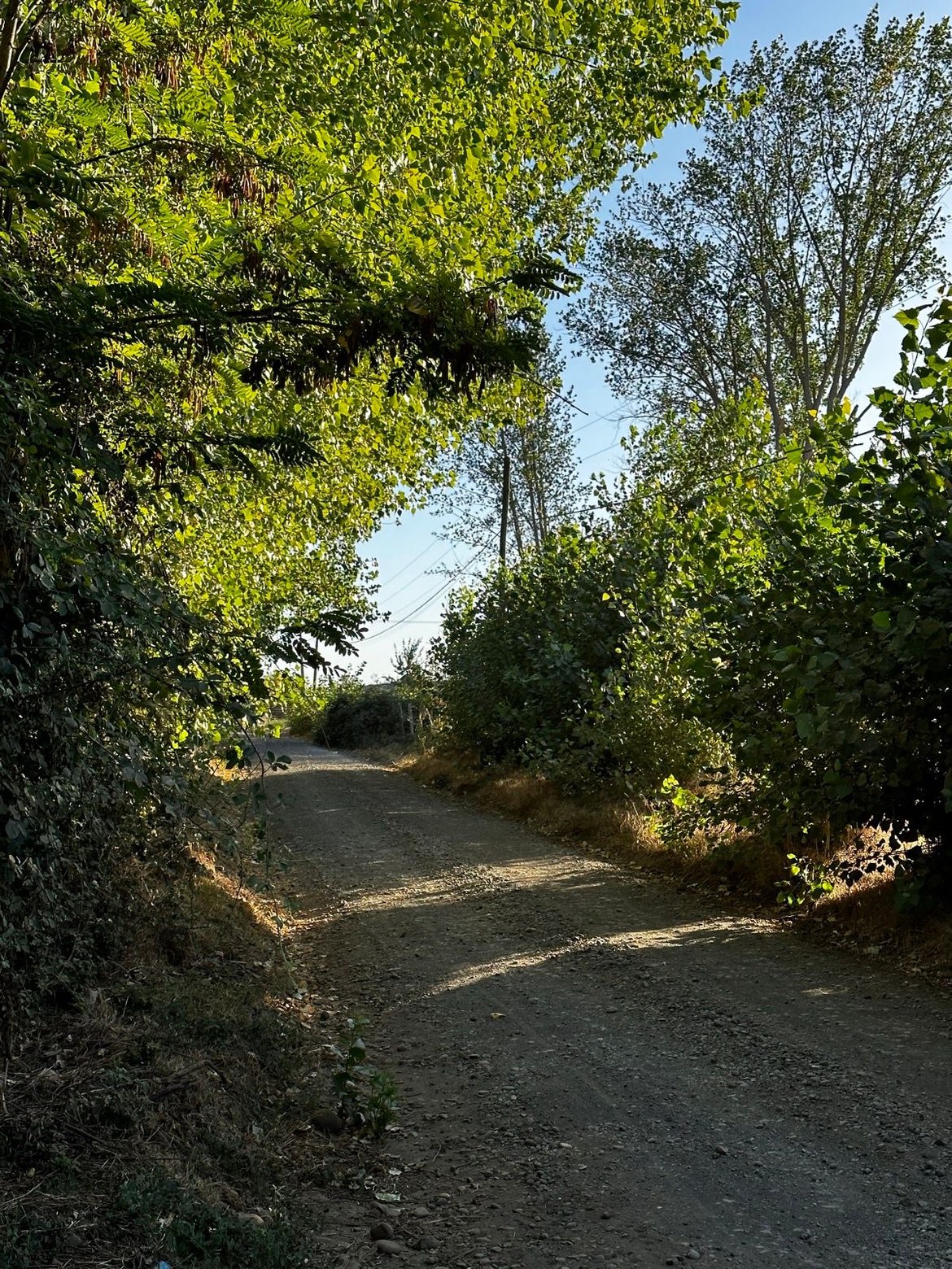 Wandering around Monterrico