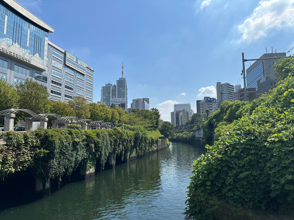 Tokyo Scramble to Yoyogi Park