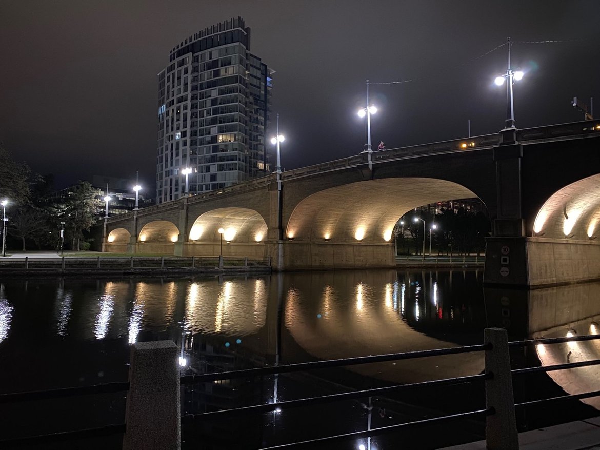 Night Ride through the Arboretum