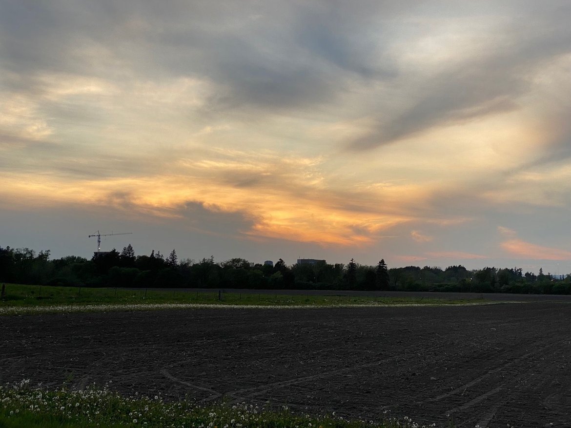 The “I am melting and just want to ride” ride