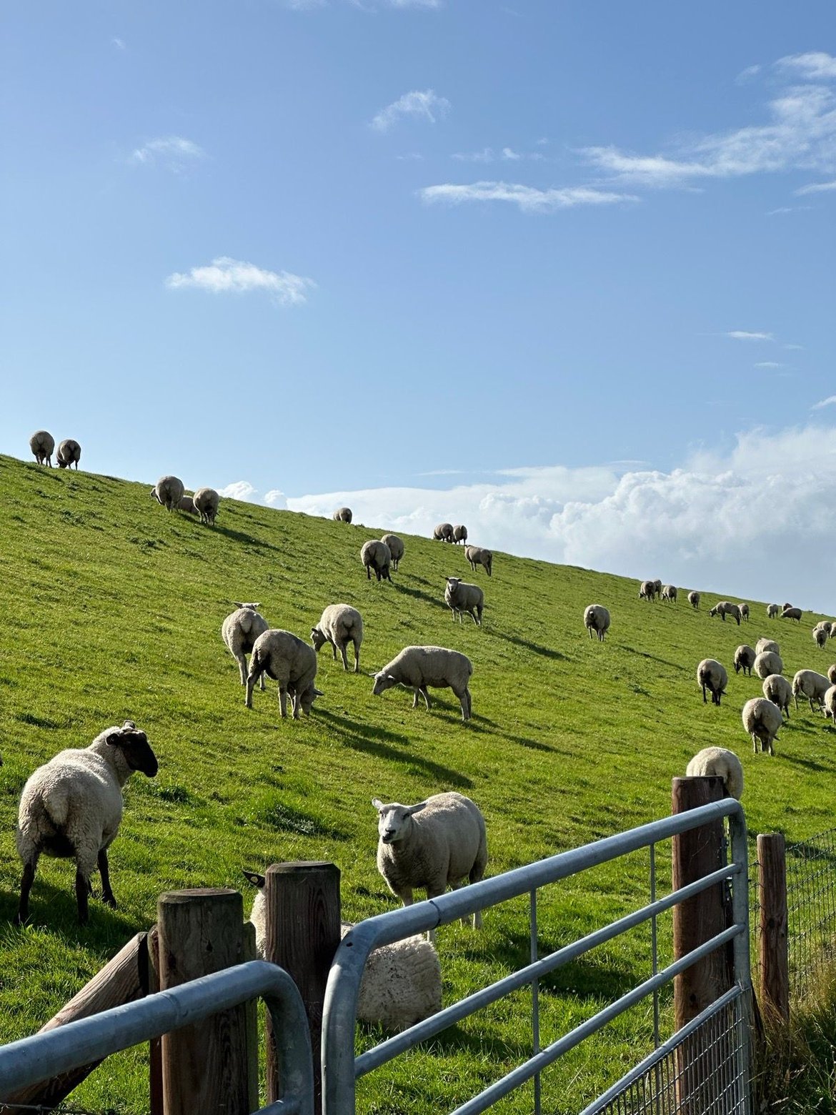 To Bremerhaven #eurobiketrip