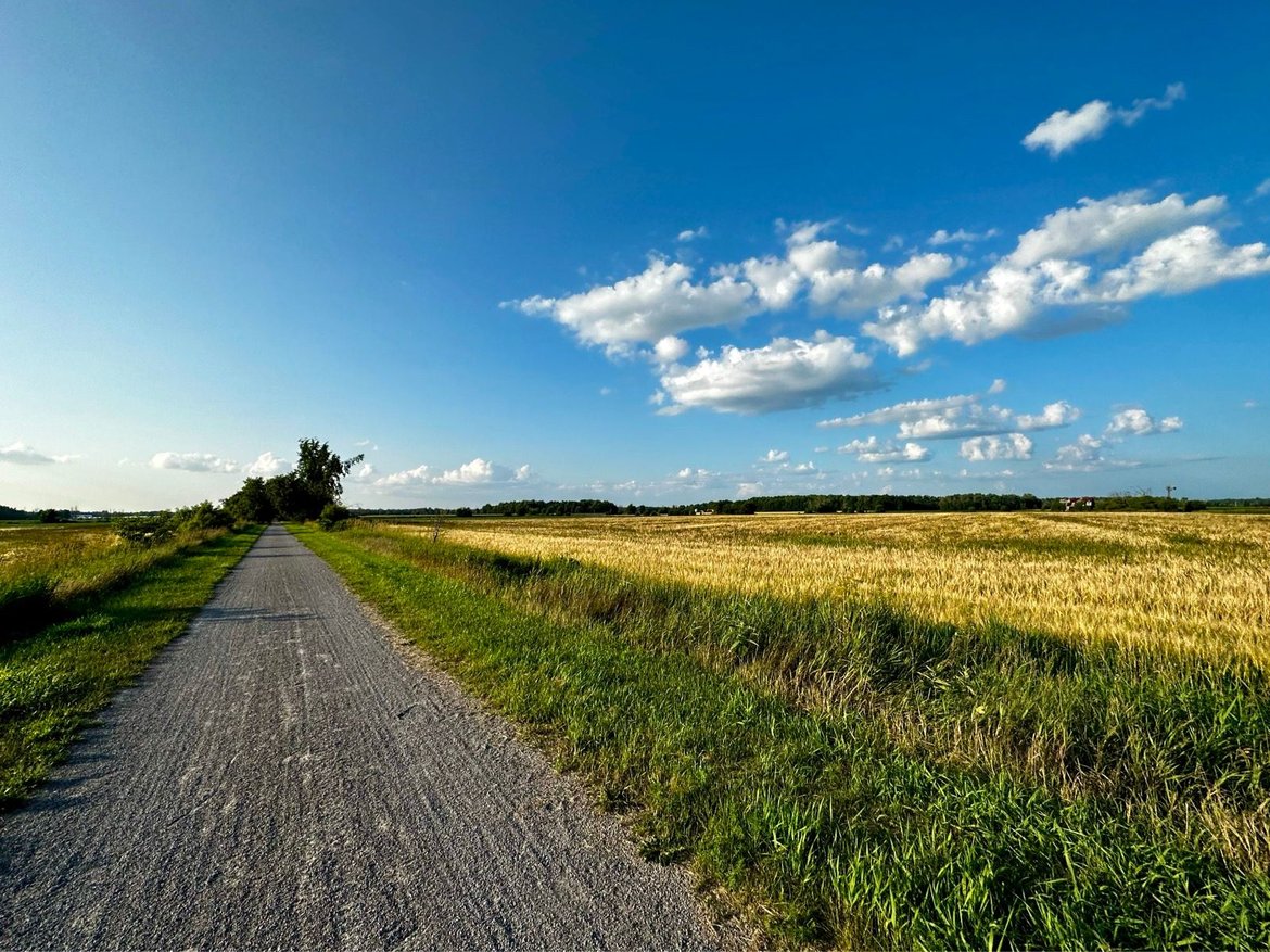 Chaffey’s Lock to Ottawa through Merrickville