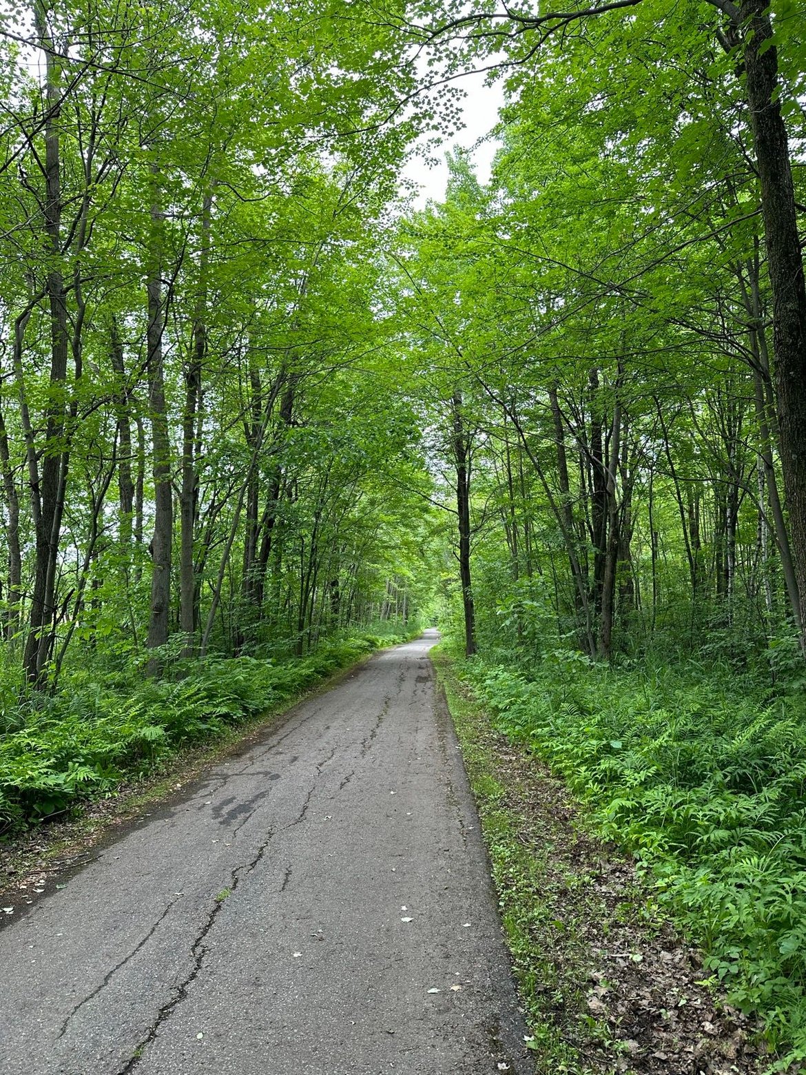 Saint-Zotique to Montréal