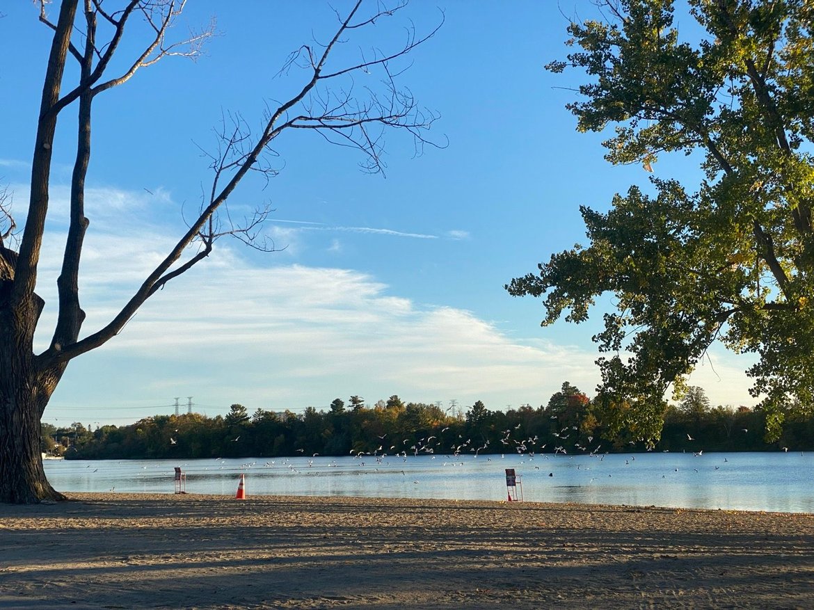 Sprints 🌅 🚴‍♂️💨