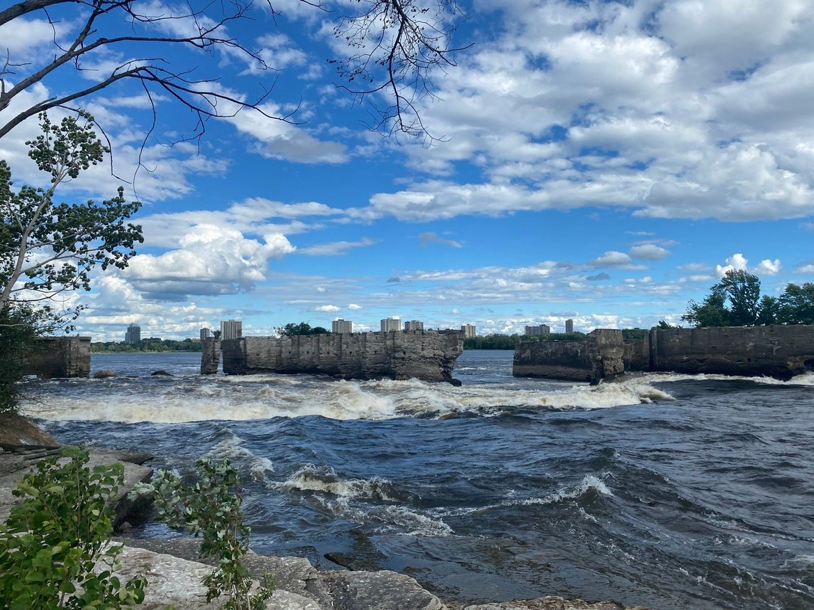 Aylmer with the gang