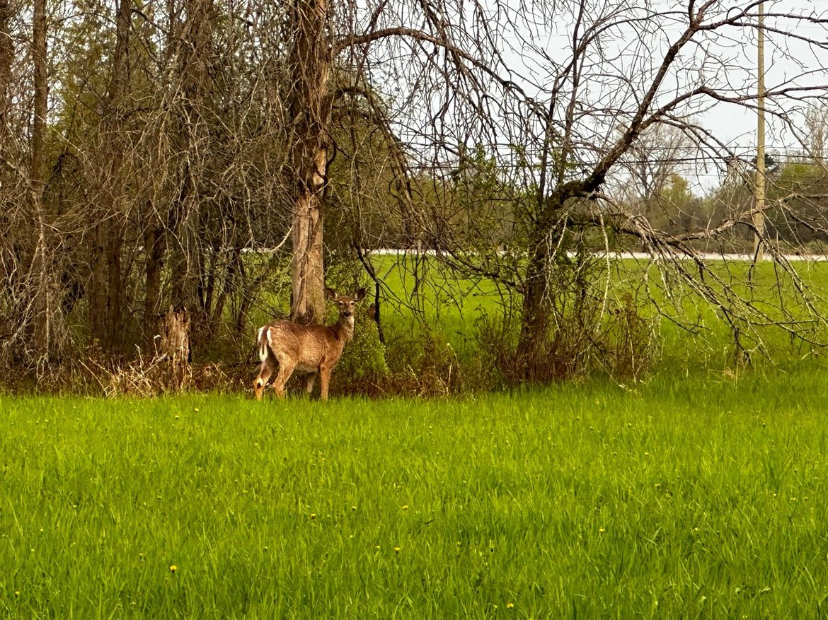 Riding around Shirley’s Bay