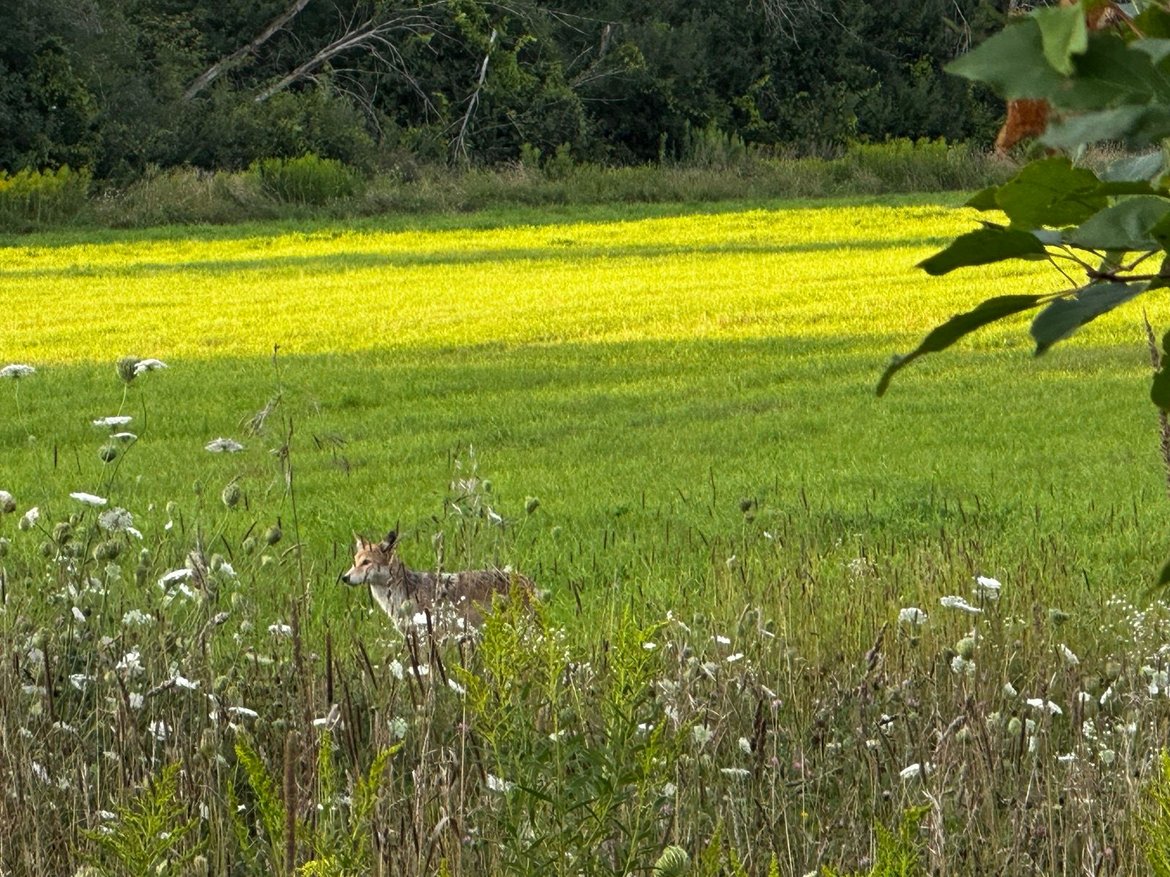 exploring the Trans Canada Trail