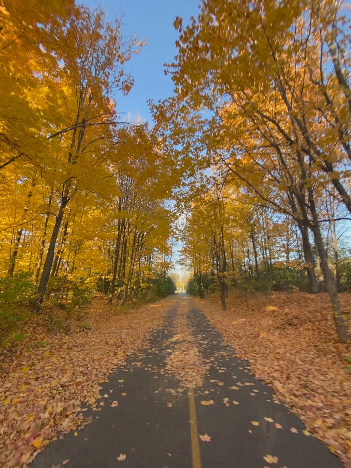 Fall loop around Ottawa