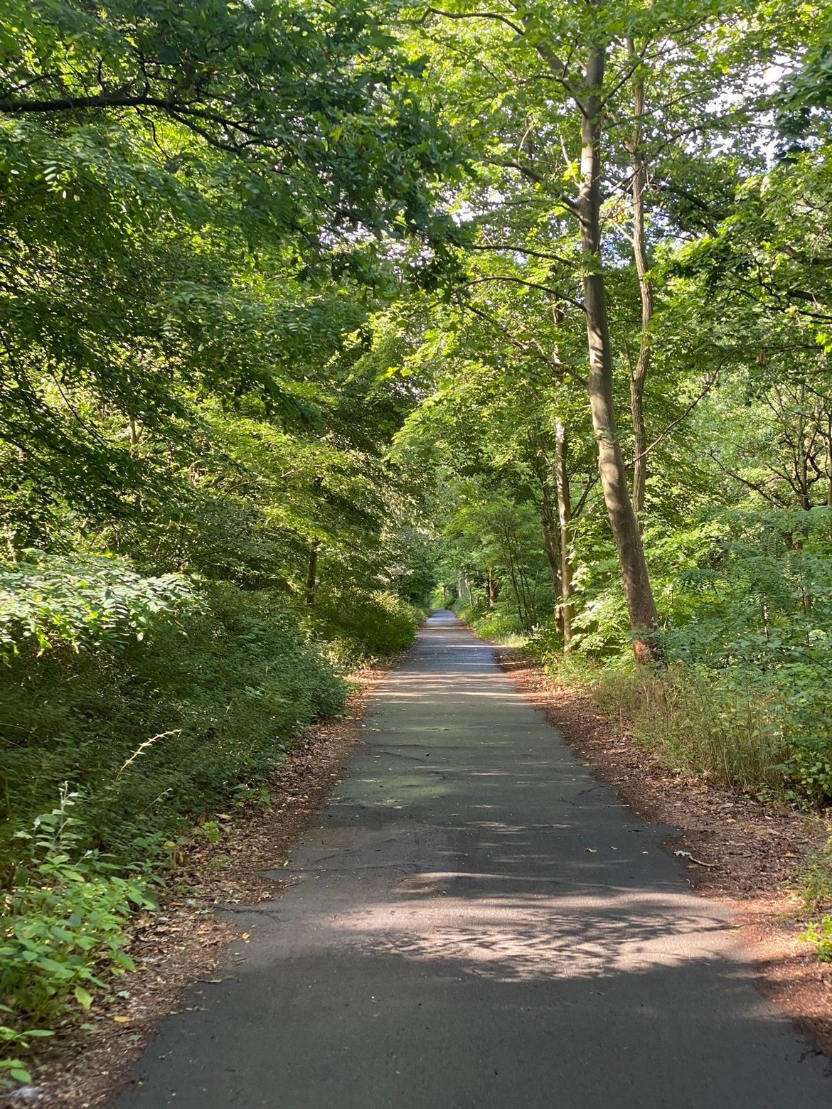 Wandering around Berlin