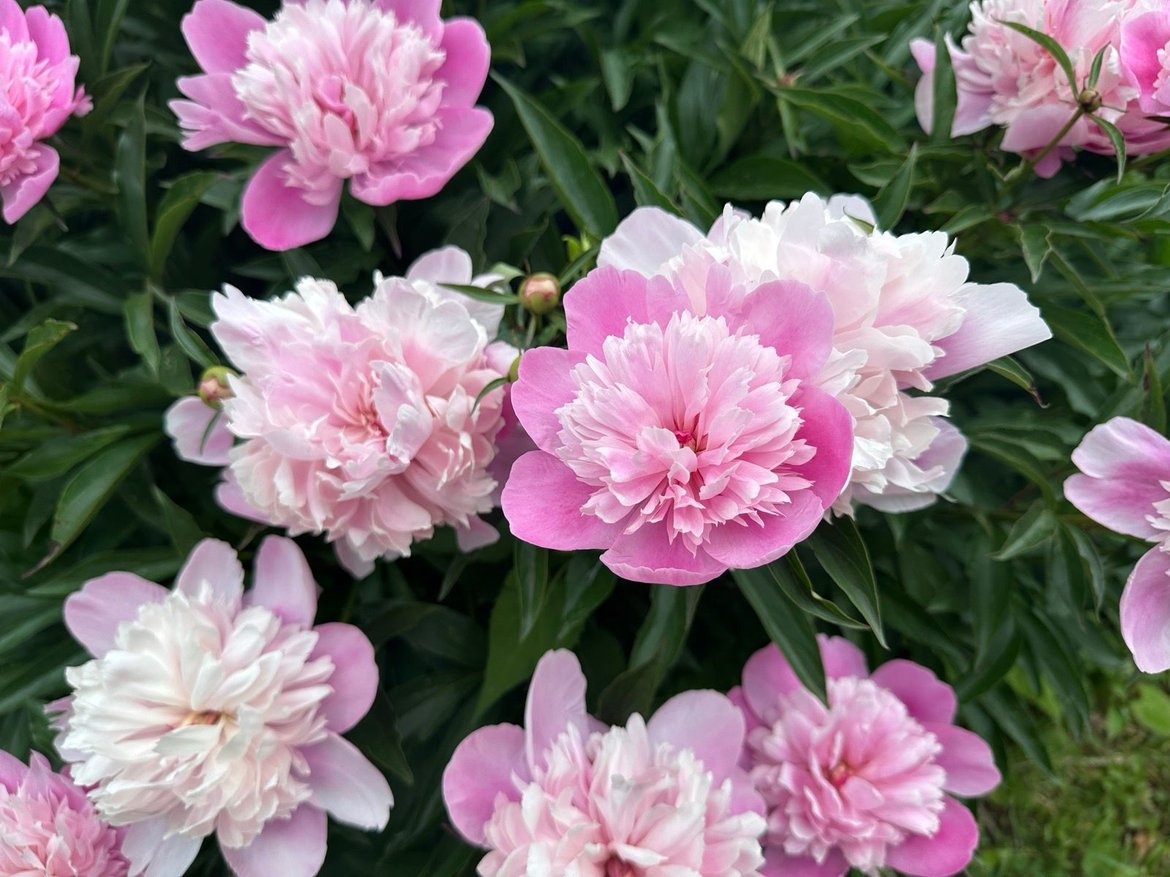 riding back from plaisance