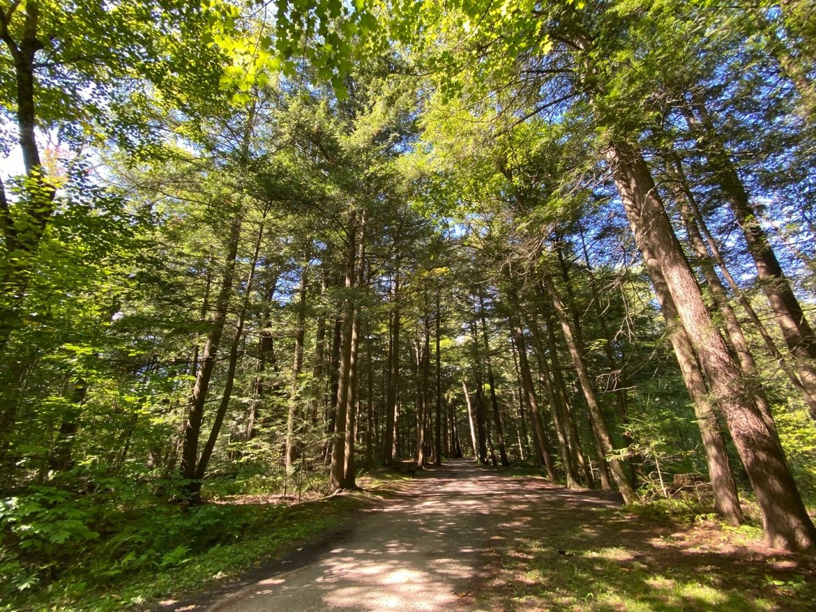 Mountain biking around Montebello