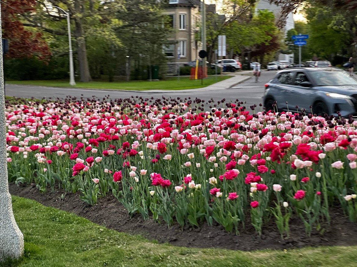 chill ride around the canal