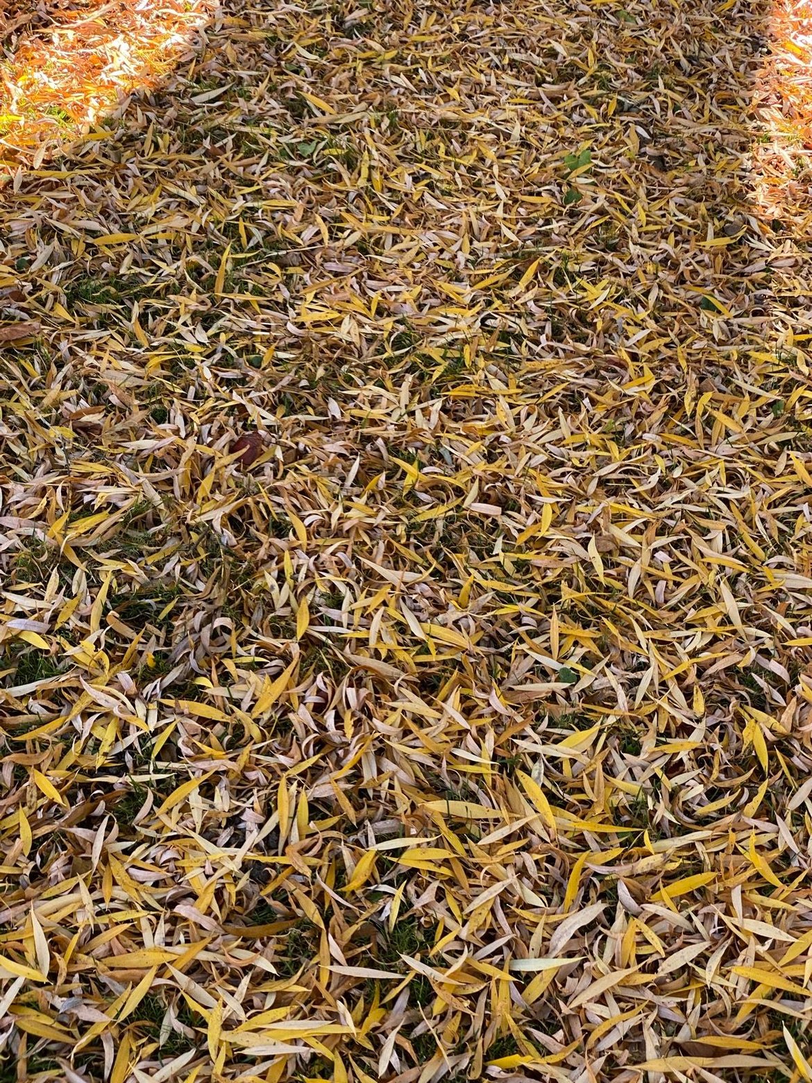 Wandering around Ottawa