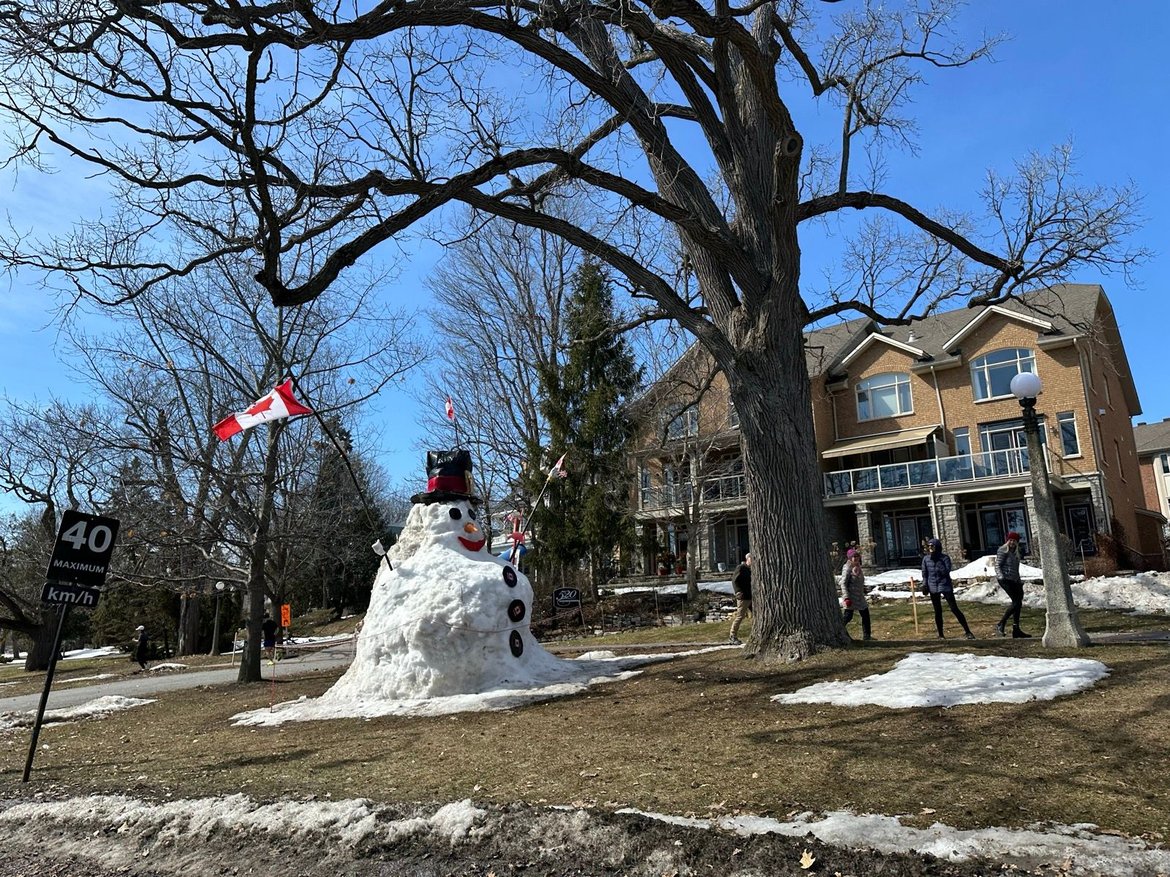 ice-skating by the arboretum