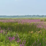 Tour de Petite Nation - Day 4