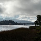 Valdivia 👉 Niebla