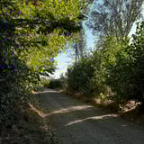 Wandering around Monterrico