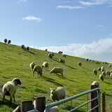 To Bremerhaven #eurobiketrip