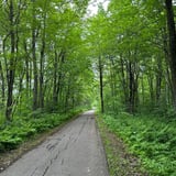 Saint-Zotique to Montréal