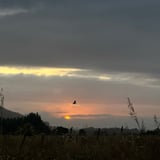 Sunset at Lanalhue Lake