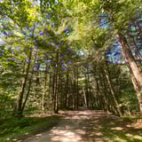 Mountain biking around Montebello