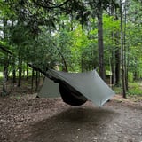 back home from wesley clover parks