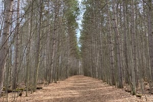Hitting the Trails with Nathan