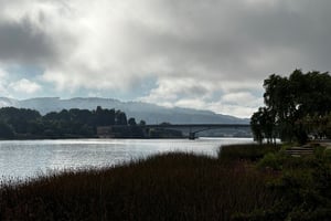 Valdivia 👉 Niebla