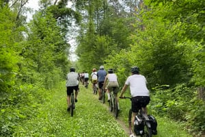 Step Thru Train Ride