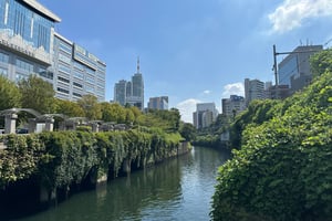 Tokyo Scramble to Yoyogi Park