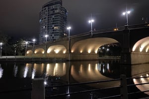 Night Ride through the Arboretum
