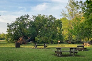 the calm after the storm 