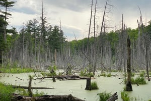 long long gatineau loop 