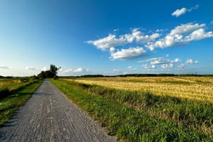 Chaffey’s Lock to Ottawa through Merrickville