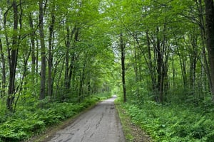 Saint-Zotique to Montréal