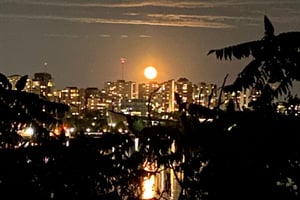 Hunter's Moon: Night Ride to Aylmer