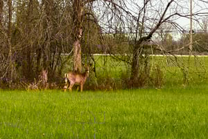 Riding around Shirley’s Bay