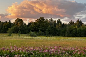 riding to Fort-Coulonge (feat. PPJ)