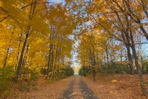 Fall loop around Ottawa