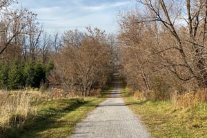 Enjoying the sun at Shirley's Bay