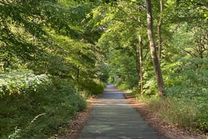 Wandering around Berlin