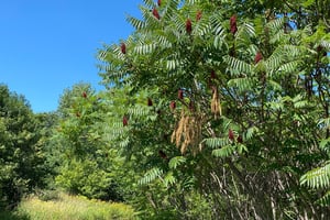 Airport Sun ☀️ 🕶 🌞 😎 