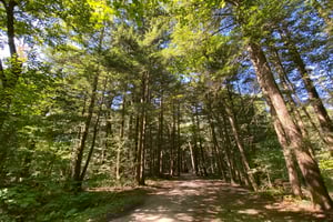 Mountain biking around Montebello