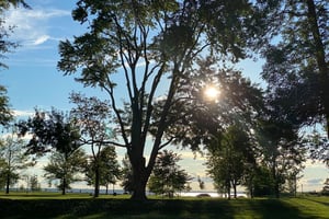 Riding a Rental bike to Britannia