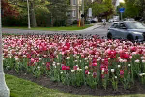 chill ride around the canal