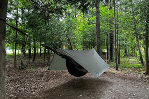 back home from wesley clover parks