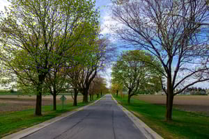 Riding through the Experimental Farm